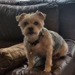 Shelly Blackburn - @shellyb972 - Instagram