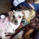 Shelly Blackburn - @kaboball - Instagram