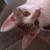 Shelly Blackman - Facebook