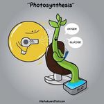 Shelly Blackwell - @thebiohubtt - Instagram