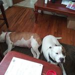 Shelly Blackwell - @shelly.blackwell.750 - Instagram