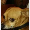 shelley Blalock - @shelleyblalock4187 - TikTok