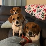 Shelly Champion Blankenship - @muzikmaker04 - Instagram