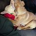 Shelly Powell-Blankenship - Facebook