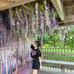 吳可如 - @shelly_.blue - Instagram