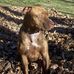 Shelly Blum - Facebook