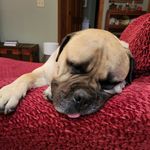 Shelly Bodensteiner - @shellybodensteiner - Instagram