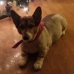 Shelley Boggs - @shelley_boggs - Instagram