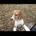 Shelly Boggs - Facebook