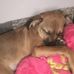 Shelly Boring - Facebook