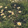 shellys.boringlive - @shellys.boringlive - TikTok