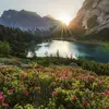 Shelly Boss - @shelly.boss8 - TikTok