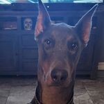 Shelley Boswell - @shelley_boswell - Instagram