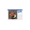 shelly Boswell - @shellygrandma - TikTok
