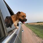 Shelly Dawn Botkin - @chamaniya65 - Instagram