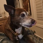Shelly Boucher Gregory - @shellybouchergregory - Instagram