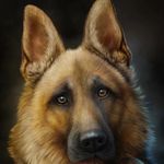 Shelly bowman - @per_sonalbolg - Instagram