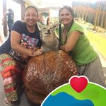 Shelly Boyd - @kewagirl - Instagram