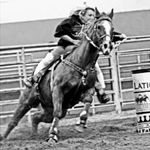 Shelly Boyd - @danceswithponies - Instagram