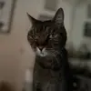 Michelle Augustin Bozeman - @shellyboze - TikTok