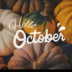 Shelly Bragg - Facebook