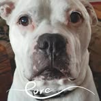 Shelly Bragg - Facebook
