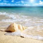 Shelly Bragg - Facebook