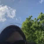 Shelly Brand - @brandshelly - Instagram