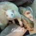Shelly Breeden - Facebook