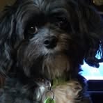 Shelly Bridge - Facebook