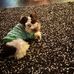 Shelly Briggs - Facebook