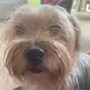 shellyjanesebryan - @shellyjanesebryan - TikTok