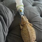 Shelly Bugg - @tellitlikeiti - Instagram