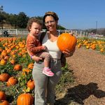 Shelly Carpenter - @glasscrafts - Instagram