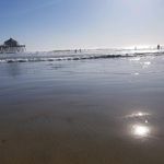 Shelly Carpenter Erickson - @shellyjerickson - Instagram