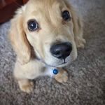 Shelly Coombe Carpenter - @carpenter.shelly - Instagram