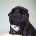 Shelly Carr - Facebook