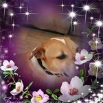 Shelly Carter - @shelly.carter.7127146 - Instagram