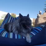 Shelly Carter - @shelly.carter.528 - Instagram