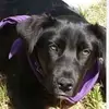 Shelly Carter - @shelly.carter5 - TikTok