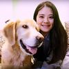 Shelley Chiang - @shelleychiang - TikTok