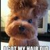Shelly Cooke - Facebook