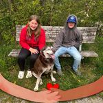 Shelly DeVries - @stellarstella61 - Instagram