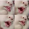 ShellyDhiran341 - @shellydhiran341 - TikTok