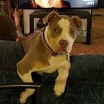 Shelly Dickson - @shellyd47 - Instagram