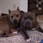 shelly Dickson - @dizzle.prince - Instagram