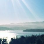 Shelly Dillon - @shelly.dillon.7 - Instagram