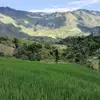 ShellyDillon - @shellydillonvimxmsrj - TikTok