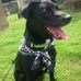 Sheila Dunsmore - Facebook