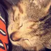 shellydobbs41 - @shellydobbs41 - TikTok